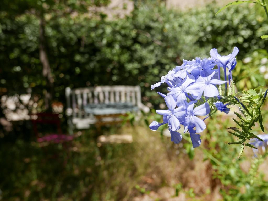 Vieux Port Panier Jardin Hotel Marseille Bagian luar foto