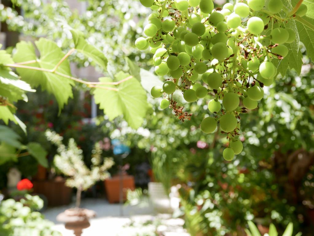 Vieux Port Panier Jardin Hotel Marseille Bagian luar foto